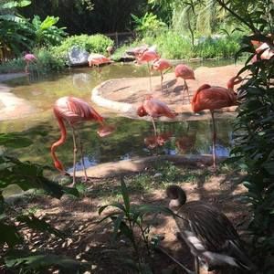 Meet your Posher, Rc